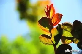 人的一生中，值得记住的日子很多，这些日子你可还记得？图片