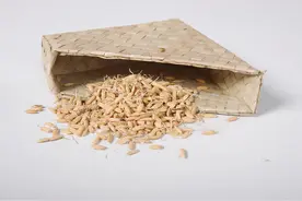 比吃药安全、比揉肚子有效！泡水、煮粥加谷芽，消食祛湿还除口臭图片