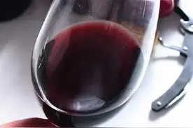如何像专业人士一样品酒图片