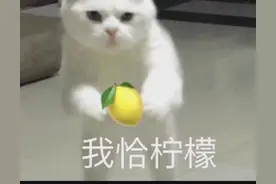 女友为站岗消防员送惊喜，这波狗粮我吃了！图片