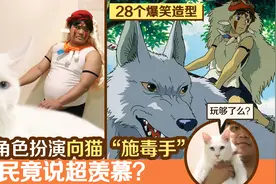泰国红人玩角色扮演向猫咪“施毒手”网民竟说超羡慕？图片
