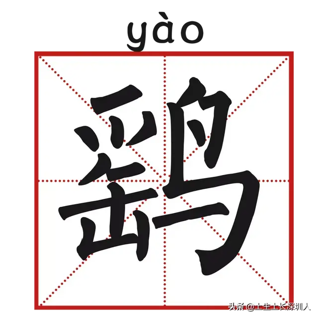 当深圳地名遇到生僻字