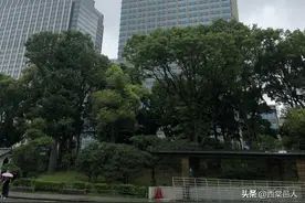 扶桑掠影——日本东京都，新泻县，群马县图片