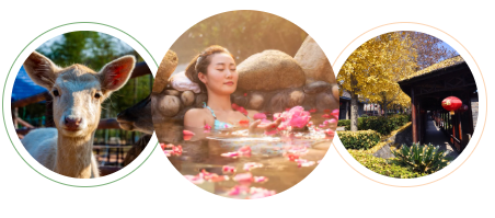 西游记公园将于9月11日恢复运营公告及相关优惠活动预告~