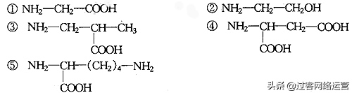 高一生物必修一复习提纲