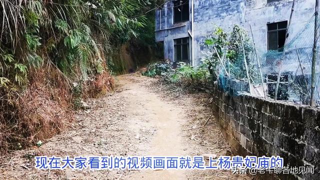 杨贵妃是不是广西容县人？山西陕西四川河南表示不服， 去探查