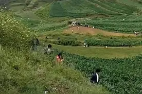 贵州山里有“龙吟”？别闹了！不是龙图片