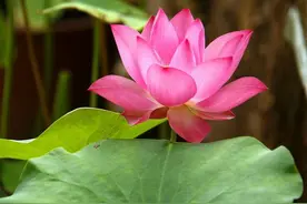 该醒醒了！其实我们根本不需要看新闻——我花了十几年明白的道理图片