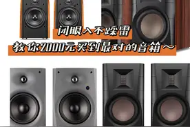 预算2000元~总结那些闭眼入不踩雷音箱有哪些？图片