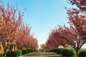即墨网红打卡地推荐：驰骋宝湖山海间，户外游首选图片