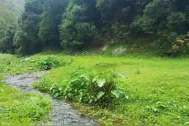 昆明走进自然户外｜雨天穿越富民龙纳河谷，绿野仙踪、梦幻迷离图片