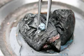 从科学角度来说，骨灰是什么？多年后又会变成什么？图片