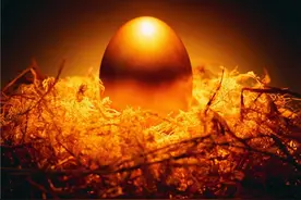 民间故事：江宁神鸭下金蛋图片