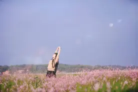 恰到好处的幸福图片