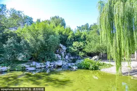 堪比苏州园林！北京这个公园绿树成荫、风景雅致，关键还免费！图片