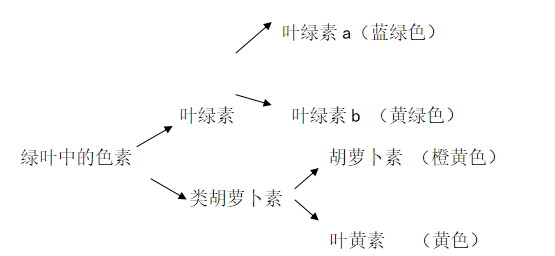 高中生物知识点总结