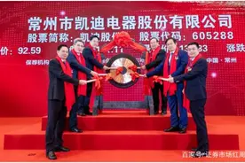 凯迪股份：行业领先，抓住物联网机遇大有可为图片