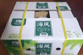 水果码头海风椰青，泰国进口过来熟知的品牌椰青，客户就认准这个图片