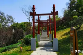 天边那一片云 （散文）图片