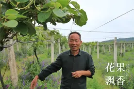 投入1300万，收入100万，这位农场主道出真相：是有机理念害了我图片