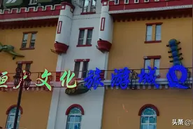 司马南：政府该不该出手救恒大？图片