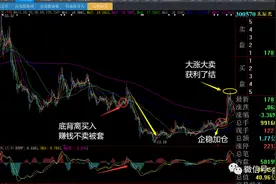 破例讲一下炒股绝杀秘诀！九大坑股回顾图片