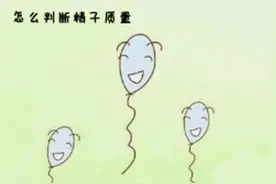 从精子角度来看人类高质量男性，这7点不能忽视图片
