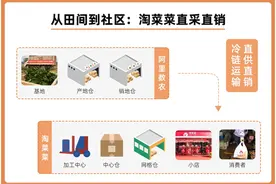 理性消费别抢购，管够！淘菜菜一天急调500万斤平价蔬菜图片