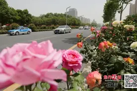 唱支山歌给党听～路畅通，“颜值”新，幸福蹭蹭往上升图片