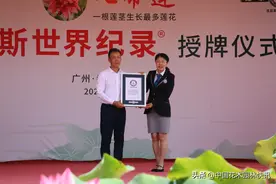 广州番禺莲花山“七蒂莲”获一茎多花之世界桂冠图片