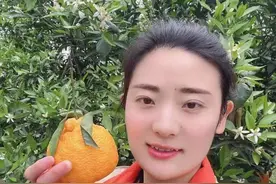 河南姑娘王奕婷：“我带着粉丝走进全国各地水果原产地”图片