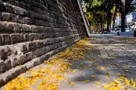 乡情散文：怀念我小时候的小巷图片