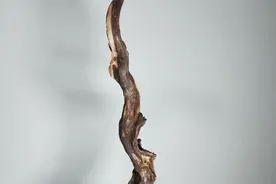 浅谈根雕之一图片