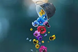 如果孙悟空喜欢林黛玉：另类木石前盟，什么是爱情最美的样子？图片