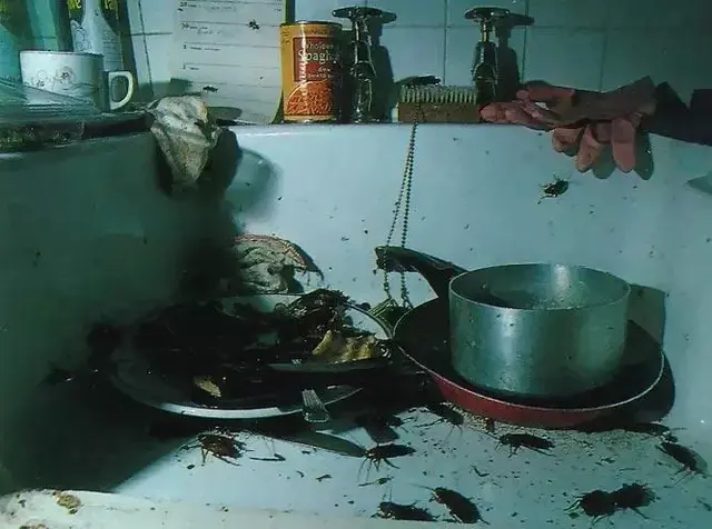 比小苏打还要给力，教你不费一滴水，分分钟就除掉厨房油污