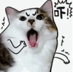 浦城:阴雨继续！全省最低温6℃，记得添衣哦！