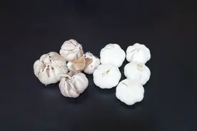 白皮大蒜和紫皮大蒜有什么区别？以后别再买错了，快告诉家人视频封面