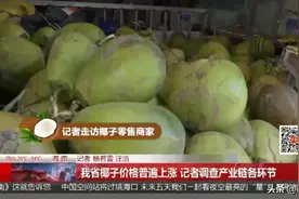 海南椰子价格“飞升”，零售商直言“不好卖”！究竟是何原因？图片