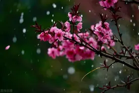 “早清明，晚十一”，清明节扫墓为何要提前？4点禁忌别乱碰图片
