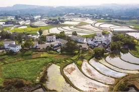 九龙坡区1镇5村被纳入乡村振兴重点帮扶对象图片