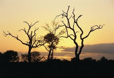 如何发布文章？文章发布步骤，千万别犯错了