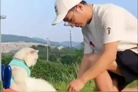 男子把猫咪当女友宠爱，猫人相恋有好结果吗？图片