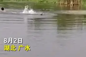 湖北广水一男子发现小孩野泳当场赶上岸：虽然不是自己孩子，但肯定要管图片