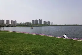 游玩好去处-嘉兴天鹅湖（附 VR链接）图片
