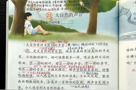小学语文三年级上册第21课《大自然的声音》教师笔记图片