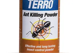 无聊宅家日记第十六篇 春天如何解除蚁患 亲测三种蚂蚁药图片