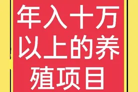 六个特种养殖项目，轻松发家致富，想赚钱的别错过图片