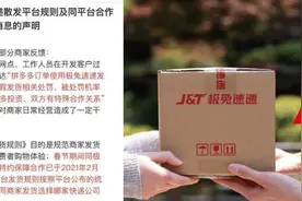 疯狂的兔子被拼多多拆了桥图片