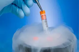 月经不规律的患者怎样安排冻胚的移植？可千万注意了图片