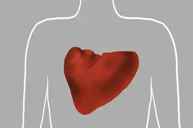 脾气一虚，人就废一半，强健脾胃，重点在于先养脾图片